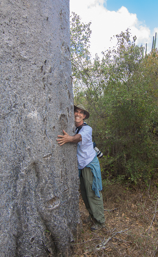 tree huggers